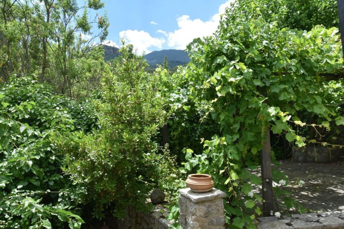 Mariolata Vintage Stone Villa - 4 Season Escape Екстериор снимка